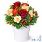 512769(アレンジメント)