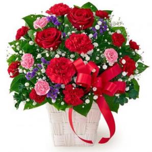 521360(赤バラ・カーネ)