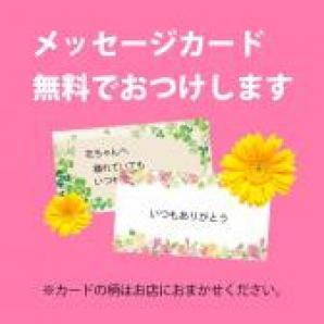 525086(アレンジメント