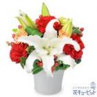 512513(アレンジメント)