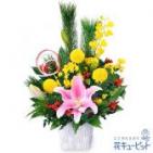 524228(アレンジメント)