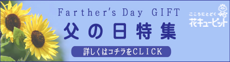 ǯեȡͽ桪