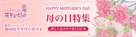 ǯեȤͽ桪