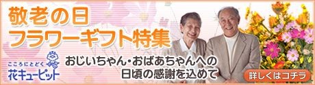 ǯϷեȥեեȤͽ桪